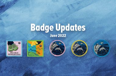Badge Updates – June 2022