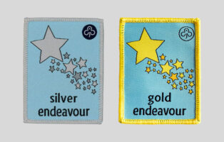 Guides with Badge Progression Issues – due to Covid
