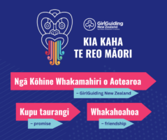 Celebrating Te Reo Māori Week: Embracing the Beauty of Aotearoa’s Language.